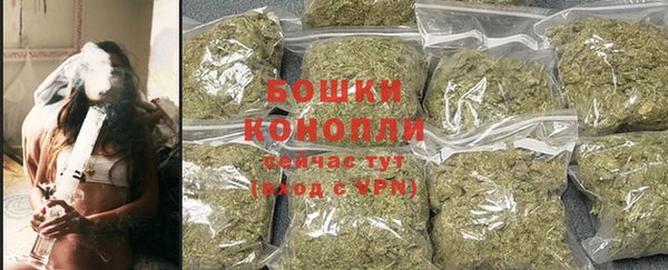 PSILOCYBIN Бугульма
